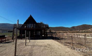 Rancho En VENTA Con Producción De Uva, Ubicado En San Quintín