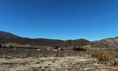 Rancho En VENTA Con Producción De Uva, Ubicado En San Quintín