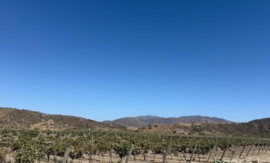 Rancho En VENTA Con Producción De Uva, Ubicado En San Quintín