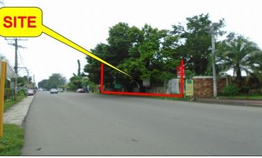 Vacant Lot 63, 380 sqm Clean Title for Sale in Brgy. Valdefuente, Cabanatuan City, Nueva Ecija