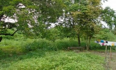 Vacant Lot 63, 380 sqm Clean Title for Sale in Brgy. Valdefuente, Cabanatuan City, Nueva Ecija