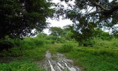 Vacant Lot 63, 380 sqm Clean Title for Sale in Brgy. Valdefuente, Cabanatuan City, Nueva Ecija