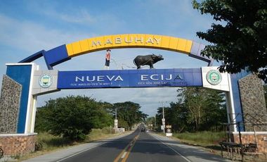 Vacant Lot 63, 380 sqm Clean Title for Sale in Brgy. Valdefuente, Cabanatuan City, Nueva Ecija