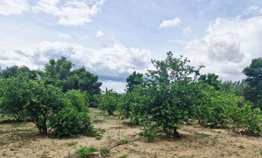 GREAT LAND WORTH EVERY PENNY! GARDEN HOME ON 6 RAI OF PRIME LAND BY THE RIVER KWAI YAI IN THE HEART OF KANCHANABURI!!!