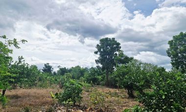 GREAT LAND WORTH EVERY PENNY! GARDEN HOME ON 6 RAI OF PRIME LAND BY THE RIVER KWAI YAI IN THE HEART OF KANCHANABURI!!!