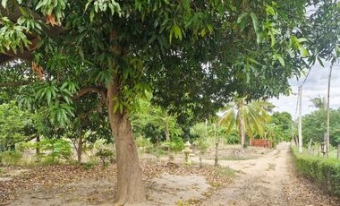 GREAT LAND WORTH EVERY PENNY! GARDEN HOME ON 6 RAI OF PRIME LAND BY THE RIVER KWAI YAI IN THE HEART OF KANCHANABURI!!!