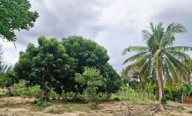 GREAT LAND WORTH EVERY PENNY! GARDEN HOME ON 6 RAI OF PRIME LAND BY THE RIVER KWAI YAI IN THE HEART OF KANCHANABURI!!!