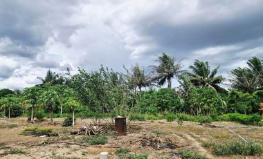 GREAT LAND WORTH EVERY PENNY! GARDEN HOME ON 6 RAI OF PRIME LAND BY THE RIVER KWAI YAI IN THE HEART OF KANCHANABURI!!!