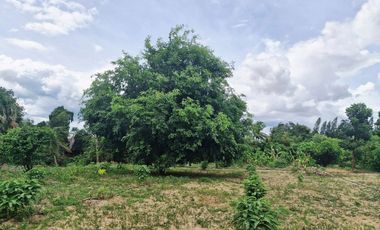 GREAT LAND WORTH EVERY PENNY! GARDEN HOME ON 6 RAI OF PRIME LAND BY THE RIVER KWAI YAI IN THE HEART OF KANCHANABURI!!!