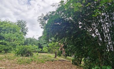 GREAT LAND WORTH EVERY PENNY! GARDEN HOME ON 6 RAI OF PRIME LAND BY THE RIVER KWAI YAI IN THE HEART OF KANCHANABURI!!!