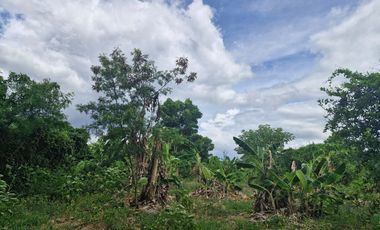 GREAT LAND WORTH EVERY PENNY! GARDEN HOME ON 6 RAI OF PRIME LAND BY THE RIVER KWAI YAI IN THE HEART OF KANCHANABURI!!!