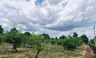 GREAT LAND WORTH EVERY PENNY! GARDEN HOME ON 6 RAI OF PRIME LAND BY THE RIVER KWAI YAI IN THE HEART OF KANCHANABURI!!!