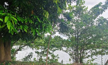 GREAT LAND WORTH EVERY PENNY! GARDEN HOME ON 6 RAI OF PRIME LAND BY THE RIVER KWAI YAI IN THE HEART OF KANCHANABURI!!!