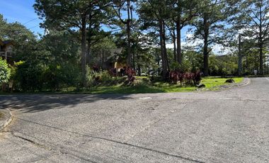 Camp John Hay Privately Owned Transient Homes