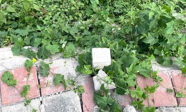 Tanah pekarangan tinggal baliknama di jakal km12. Dkt lapangan klidon