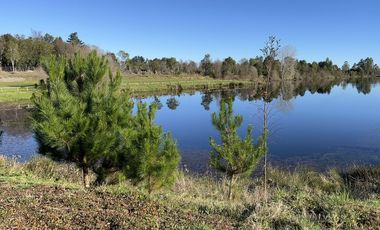 Gran Oportunidad Casa 3D-2B en Parcelas Lagunita