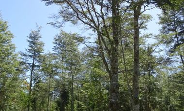 Se vende Hermosa Casa en Parcela a 5 min de Frutillar