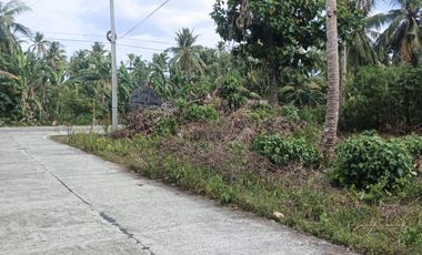 Residential Lot for Sale - Siargao Surigao Del Norte