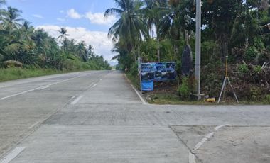 Residential Lot for Sale - Siargao Surigao Del Norte