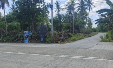 Residential Lot for Sale - Siargao Surigao Del Norte