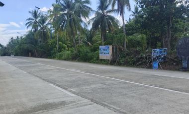Residential Lot for Sale - Siargao Surigao Del Norte