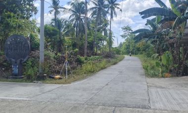 Residential Lot for Sale - Siargao Surigao Del Norte