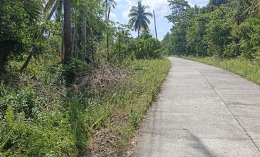 Residential Lot for Sale - Siargao Surigao Del Norte