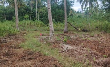 Residential Lot for Sale - Siargao Surigao Del Norte