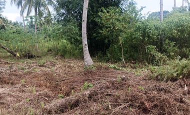 Residential Lot for Sale - Siargao Surigao Del Norte