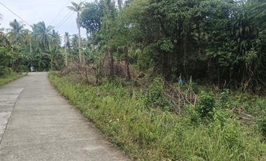 Residential Lot for Sale - Siargao Surigao Del Norte