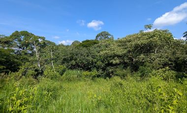 📣 ¡Oportunidad Única! Venta de 2 Lotes Campestres en Paso Campana, La Estanzuela 🌳