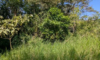 📣 ¡Oportunidad Única! Venta de 2 Lotes Campestres en Paso Campana, La Estanzuela 🌳