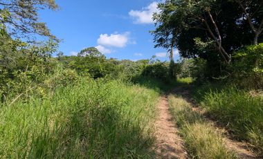 📣 ¡Oportunidad Única! Venta de 2 Lotes Campestres en Paso Campana, La Estanzuela 🌳