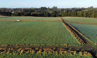 Vende 2 parcelas  Totalmente planas y limpias  de 5.000.M2 a 15 minutos de Aeropuerto El Tepual Puerto Montt.