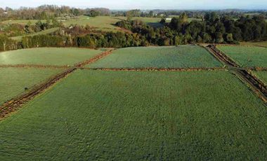 Vende 2 parcelas  Totalmente planas y limpias  de 5.000.M2 a 15 minutos de Aeropuerto El Tepual Puerto Montt.