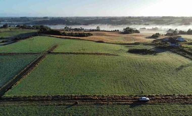 Vende 2 parcelas  Totalmente planas y limpias  de 5.000.M2 a 15 minutos de Aeropuerto El Tepual Puerto Montt.