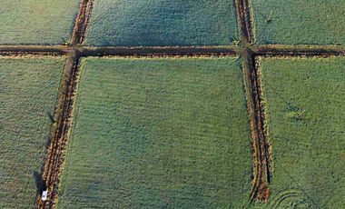 Vende 2 parcelas  Totalmente planas y limpias  de 5.000.M2 a 15 minutos de Aeropuerto El Tepual Puerto Montt.