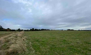 Vende 2 parcelas  Totalmente planas y limpias  de 5.000.M2 a 15 minutos de Aeropuerto El Tepual Puerto Montt.