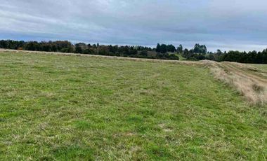 Vende 2 parcelas  Totalmente planas y limpias  de 5.000.M2 a 15 minutos de Aeropuerto El Tepual Puerto Montt.