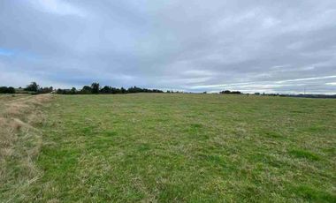 Vende 2 parcelas  Totalmente planas y limpias  de 5.000.M2 a 15 minutos de Aeropuerto El Tepual Puerto Montt.