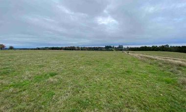 Vende 2 parcelas  Totalmente planas y limpias  de 5.000.M2 a 15 minutos de Aeropuerto El Tepual Puerto Montt.