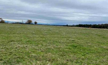 Vende 2 parcelas  Totalmente planas y limpias  de 5.000.M2 a 15 minutos de Aeropuerto El Tepual Puerto Montt.