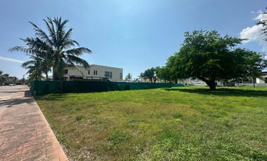 Lote en Los Tigres, Oportunidad.