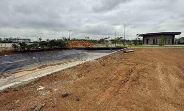 EN VENTA TERRENO AL LAGO EN MORIAH ISLA MOCOLI