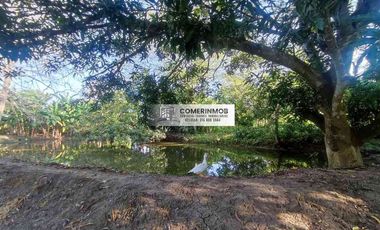 CÓD. 1262. HERMOSA FINCA A ORILLA DE CARRETERA A LA VENTA EN VILLANUEVA, BOLÍVAR.