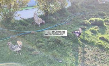 CÓD. 1262. HERMOSA FINCA A ORILLA DE CARRETERA A LA VENTA EN VILLANUEVA, BOLÍVAR.