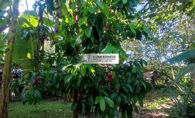 CÓD. 1262. HERMOSA FINCA A ORILLA DE CARRETERA A LA VENTA EN VILLANUEVA, BOLÍVAR.