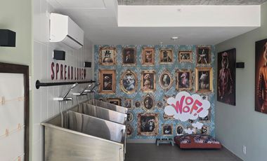 PH CENTRIQO| PANAMA PACIFICO | SE ALQUILA| ESTUDIO | A ESTRENAR