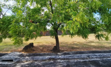 321-SQM Residential Lot for Sale in Grand Centennial Homes, Cavite | Near Evo City & Ayala Estates