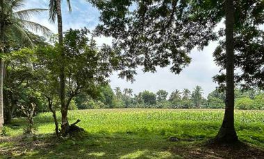 FOR SALE - Vacant Lot in Lipa, Batangas
